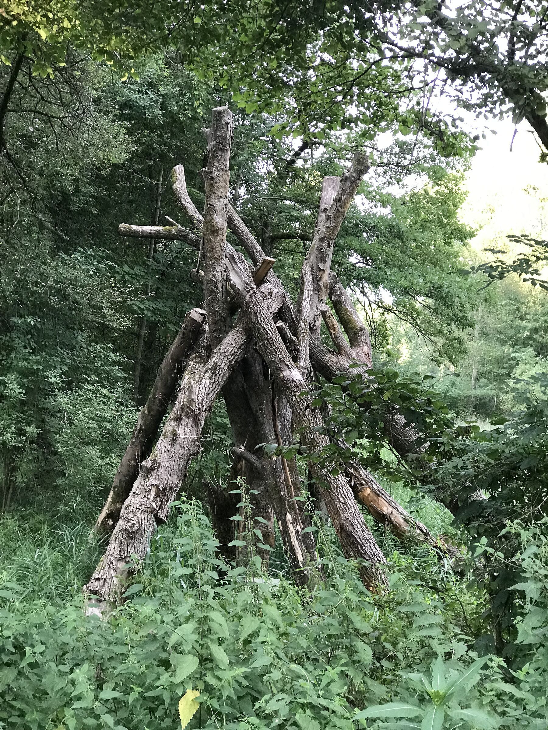 Totholzpyramiden Totholzpyramiden