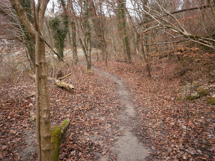 Pfad nach Norden