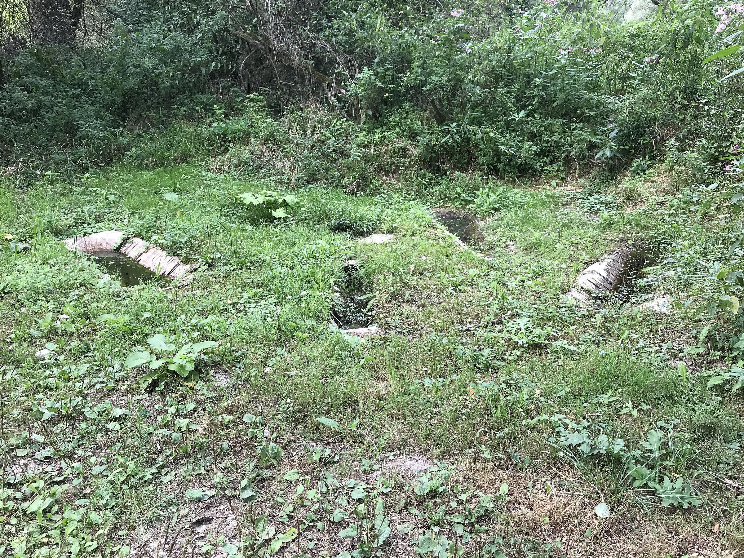 Gelbbauchunken-Tümpel Gelbbauchunken-Tümpel