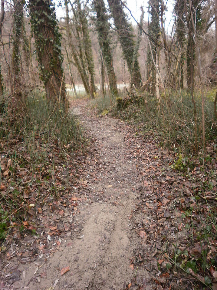 Pfad nach Norden