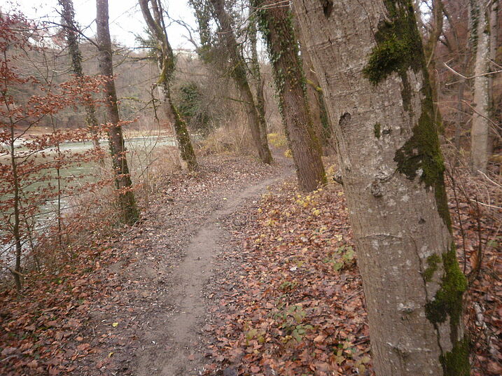 Pfad nach Norden