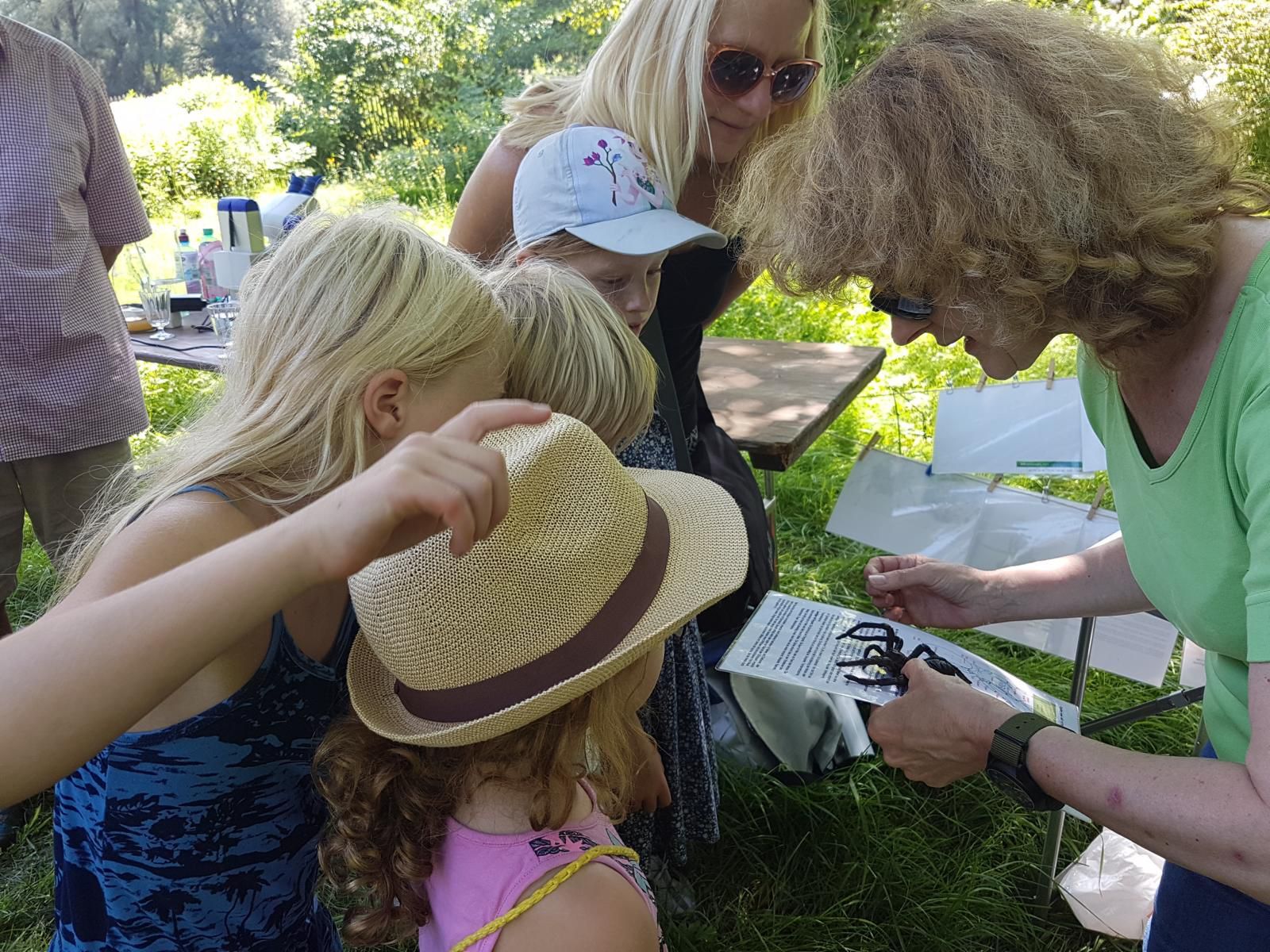 Eveline erklärt den Kindern die Spinne (8 Beine, oft 8 Augen, ...) Eveline erklärt den Kindern die Spinne (8 Beine, oft 8 Augen, ...)