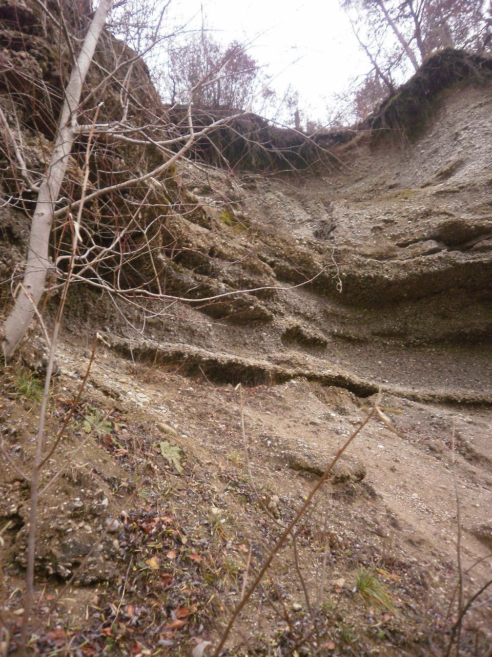 Nagelfluhabbruch oben von rechts nach links