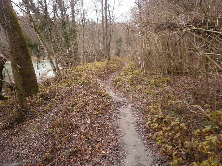 Pfad nach Norden