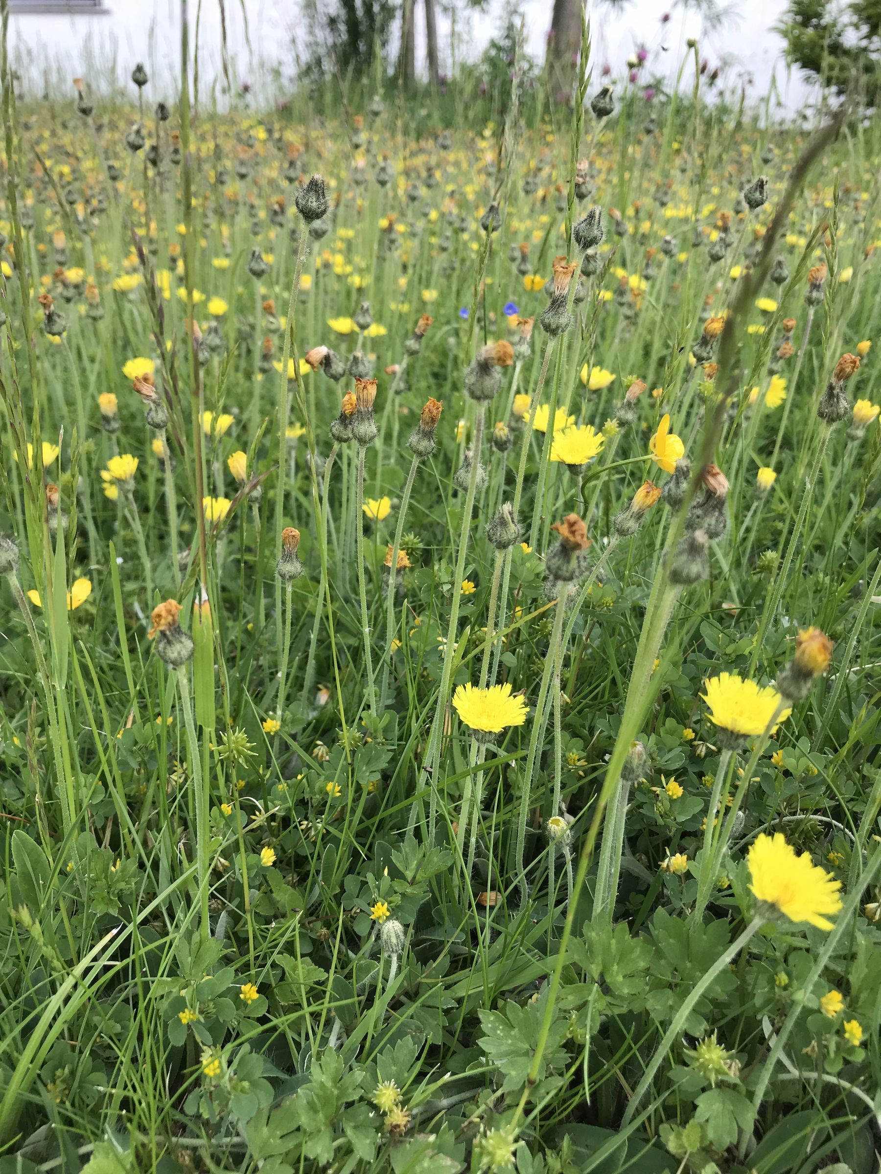 (Foto: E.-J. Spindler)