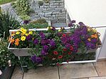 Ein bunter Blumenkasten am Gitter einer Terasse. Ein bunter Blumenkasten am Gitter einer Terasse.