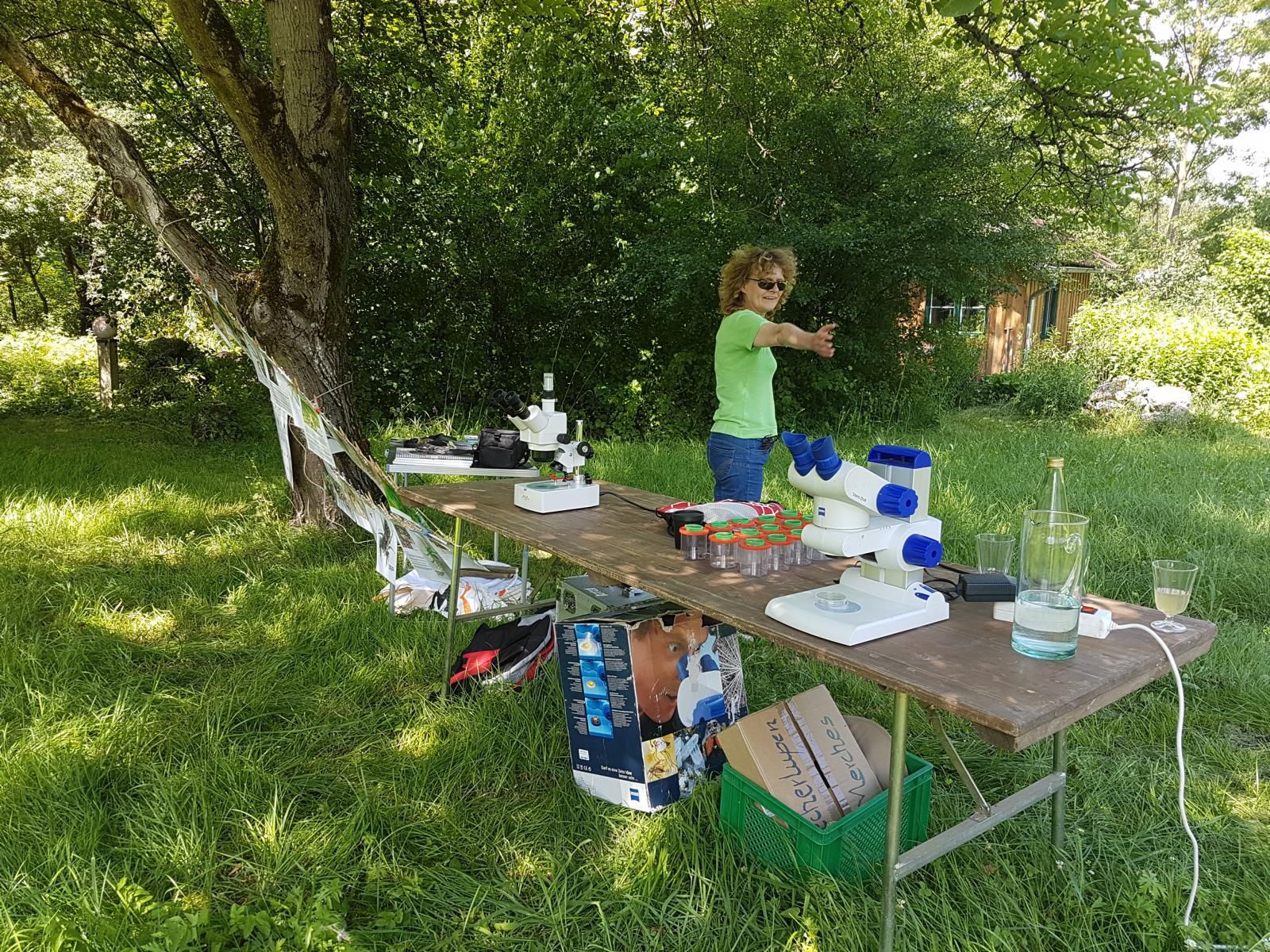 Eveline Merches, unsere Spinnenexpertin Eveline Merches, unsere Spinnenexpertin