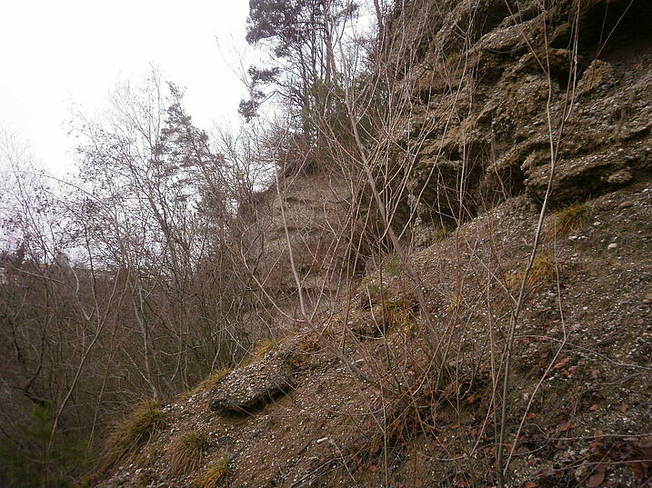 Nagelfluhabbruch oben von rechts nach links