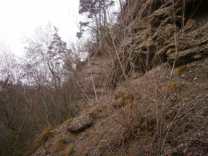 Nagelfluhabbruch oben von rechts nach links