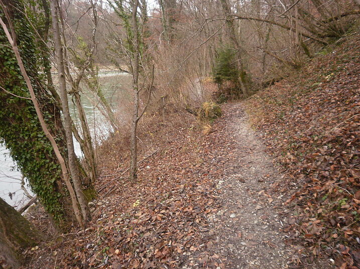 Pfad nach Norden