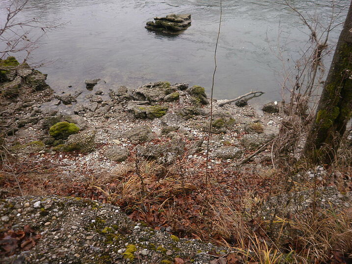 Reiße zur Salzach