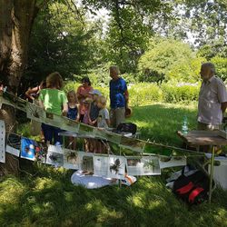 Eine Galerie mit häufigen Spinnen Eine Galerie mit häufigen Spinnen