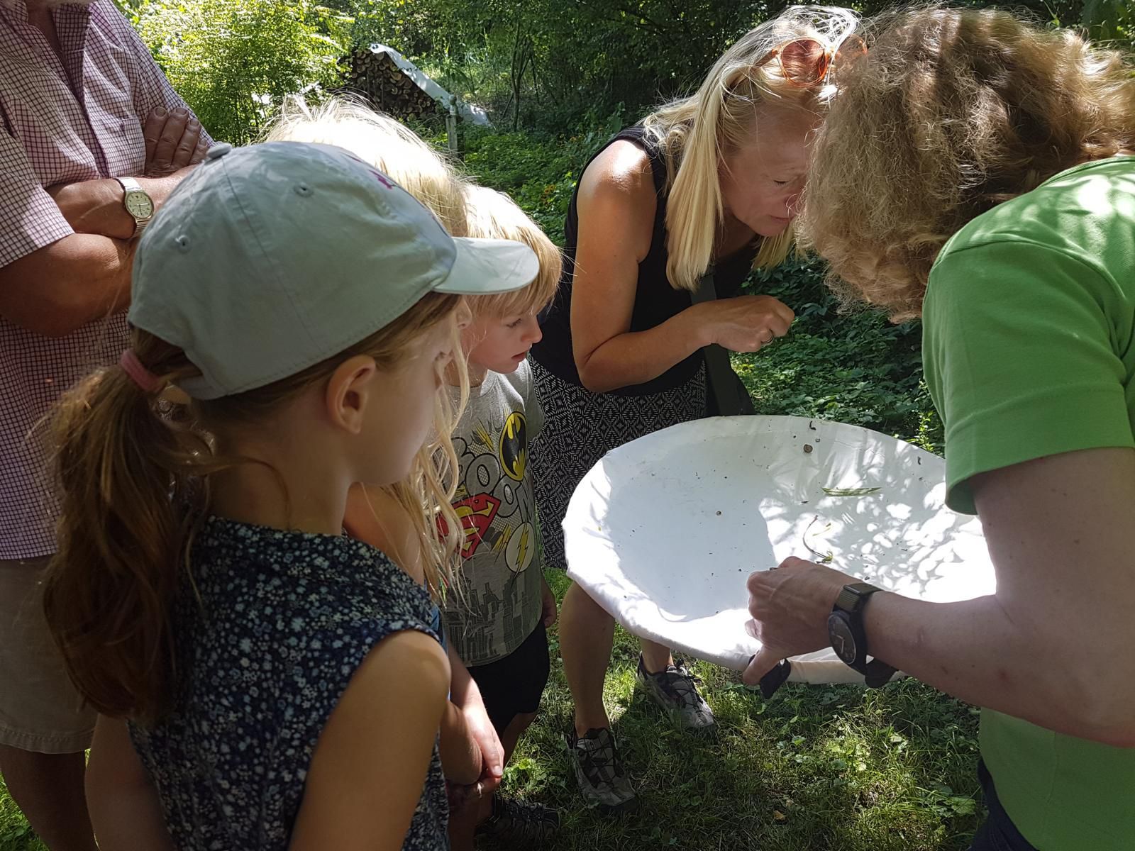 Sind Spinnen auf das Tuch gefallen? Sind Spinnen auf das Tuch gefallen?