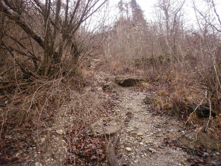 Reiße nach oben