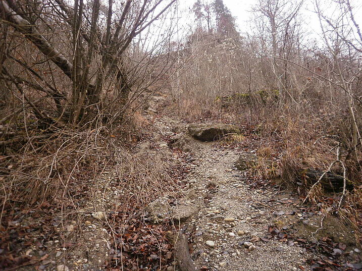Reiße nach oben
