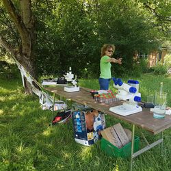 Eveline Merches, unsere Spinnenexpertin Eveline Merches, unsere Spinnenexpertin