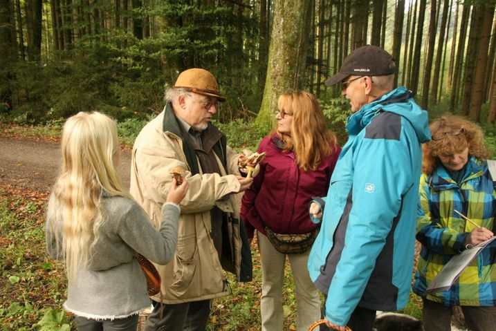 Till erklärt im Wald (TAV Pilze)