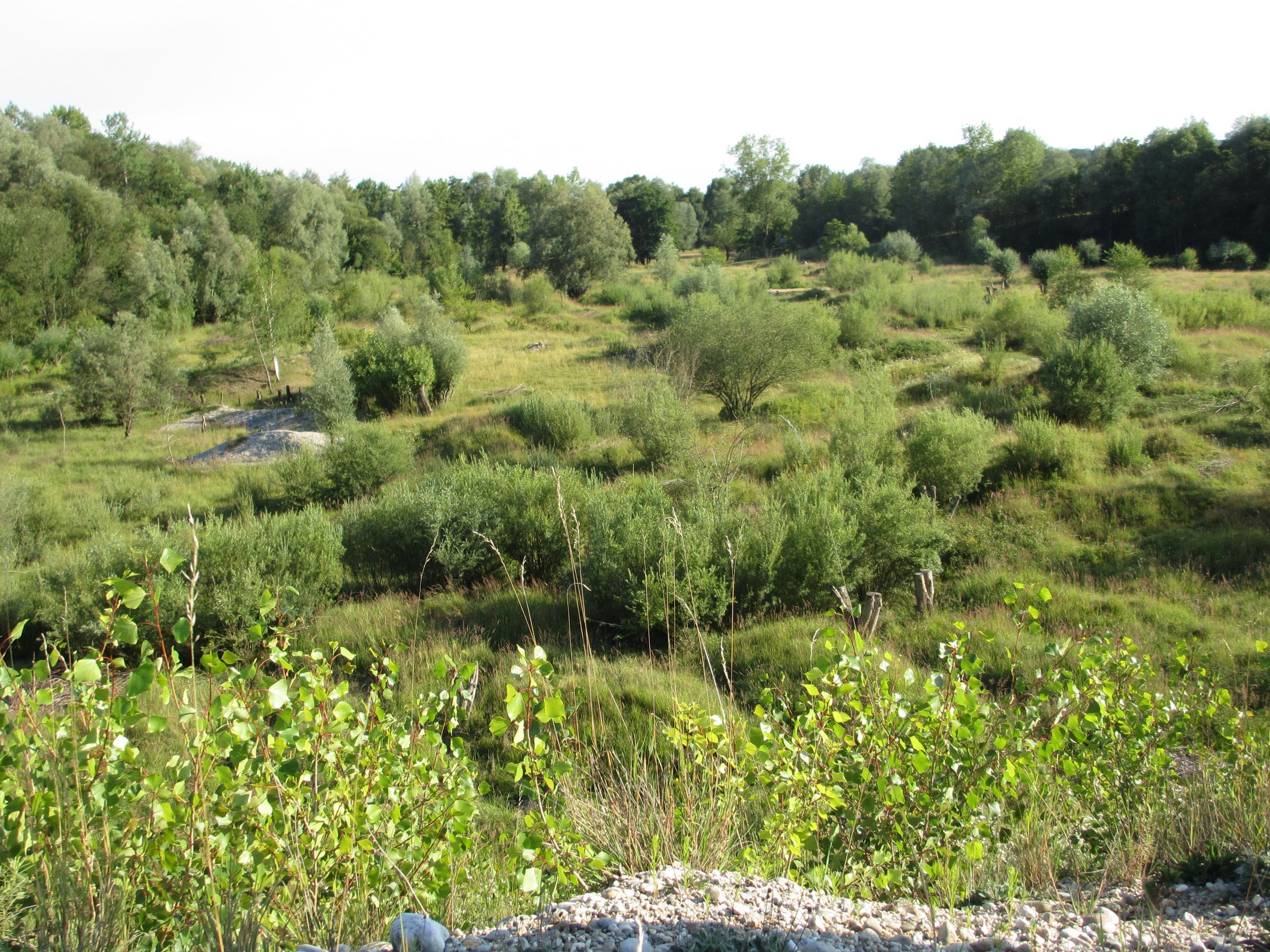 BUND-Naturschutz-Kiesgrube bei Haigerloh
