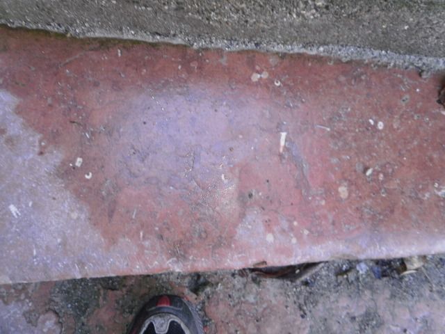 Burghausen, Burg, Treppenstufe aus Adneter Marmor mit Seelilienfossilien