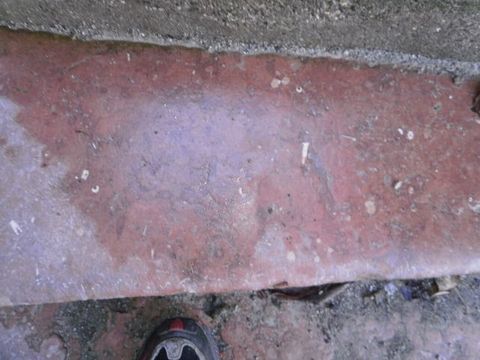 Burghausen, Burg, Treppenstufe aus Adneter Marmor mit Seelilienfossilien