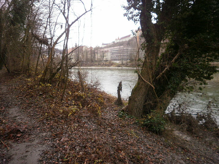 Pfad nach Süden
