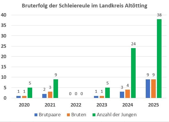 Bruterfolge der Schleiereulen