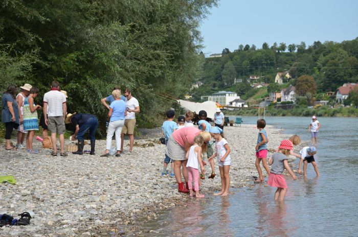 Steine an der Salzach